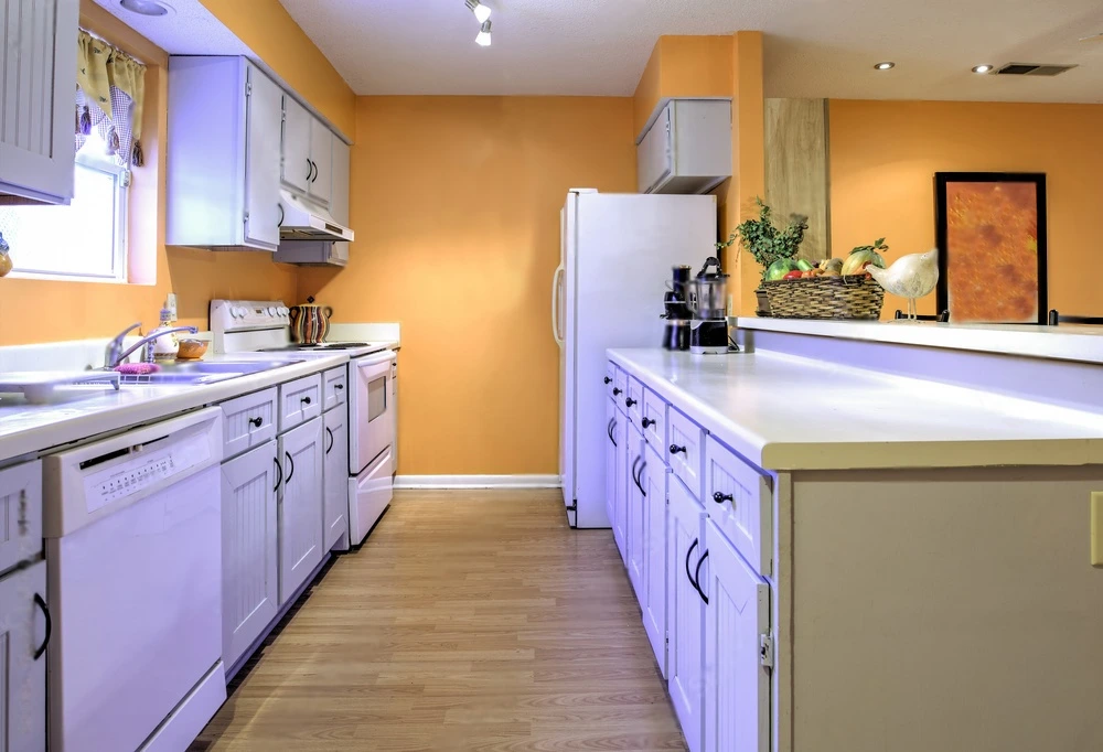 Incorporating Bold Colors in Kitchen Accessories and Appliances