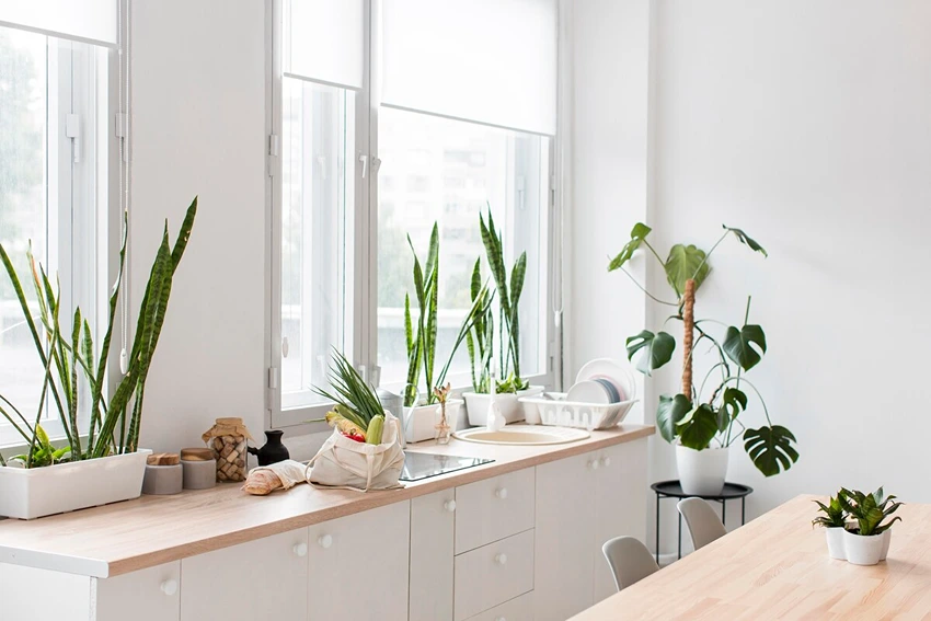 Innovative Eco-Friendly Kitchen Features