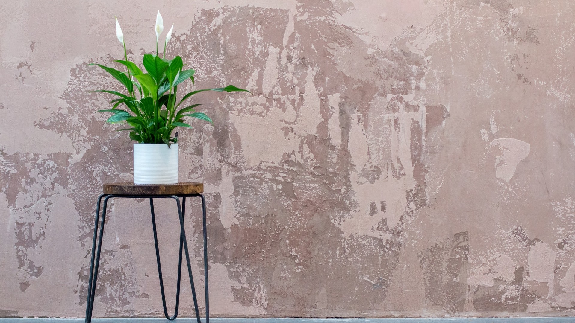 Plasterers In glasgow